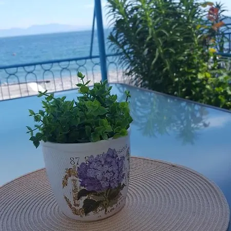 Antony's Sea View * Tiros