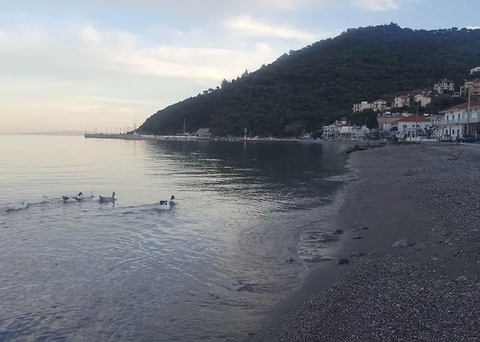 Antony's Sea View Tirós